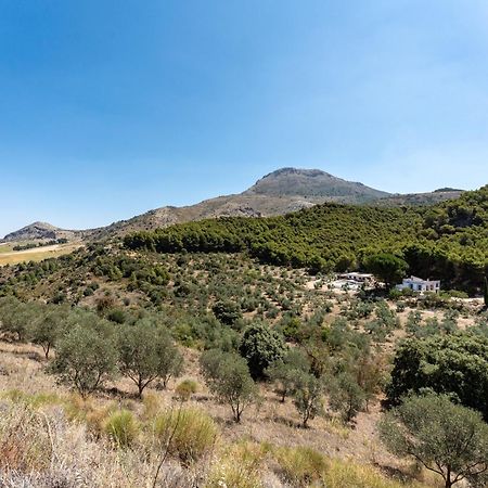 Cortijo La Zahurdilla Yunquera Ngoại thất bức ảnh
